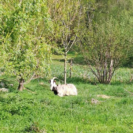 4 Etoiles Coume A Case, Pyrenees Atlantiques Casa vacanze Lys