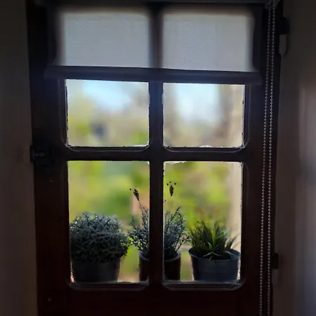 Coume A - 4 Etoiles - Charme Et Nature Vallee D Ossau Lys (Pyrenees-Atlantiques)