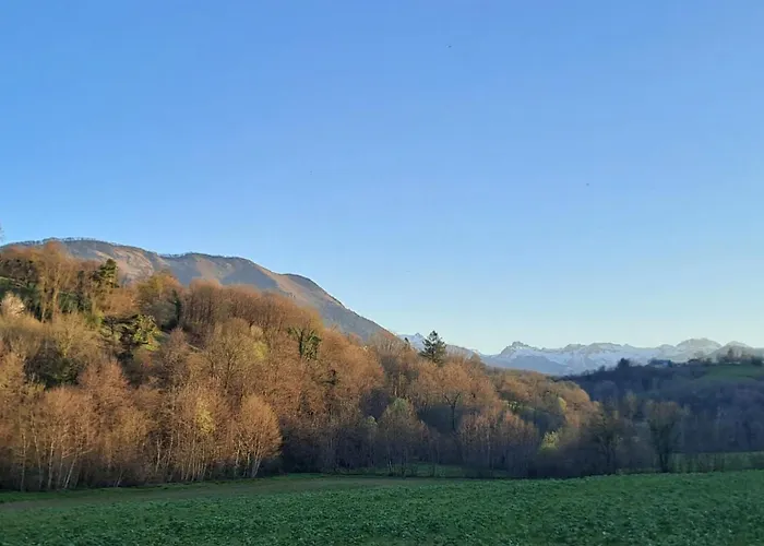 Coume A - 4 Etoiles - Charme Et Nature Vallee D Ossau Prázdninový dům